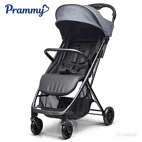Коляска прогулочная Prammy Black, черный (в коробке)