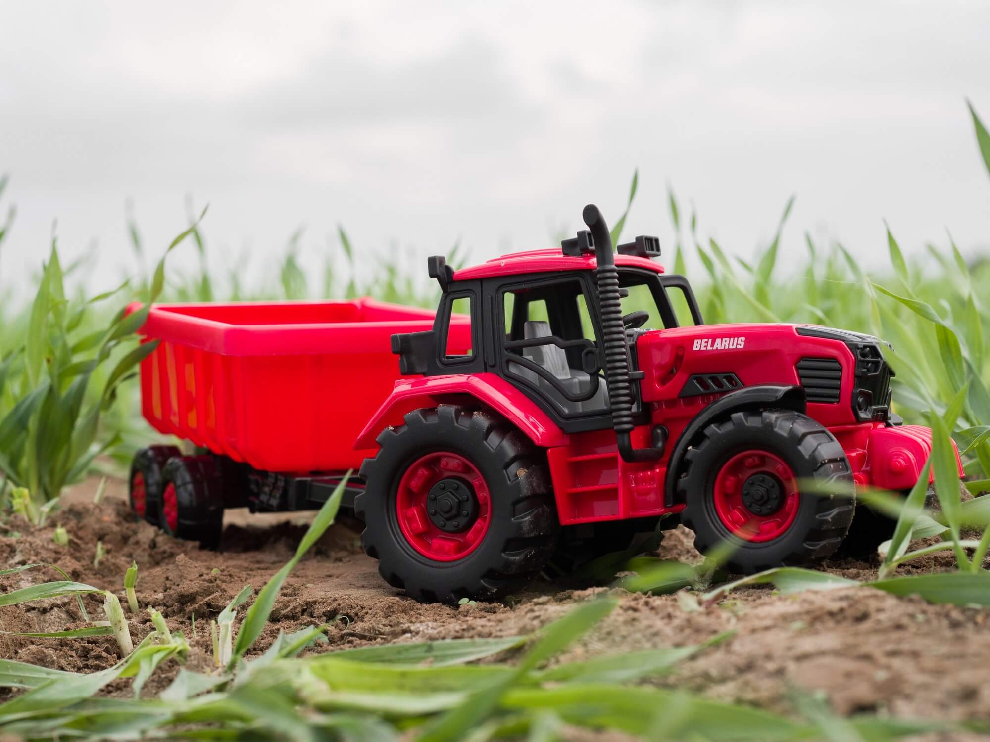 Изображение товара